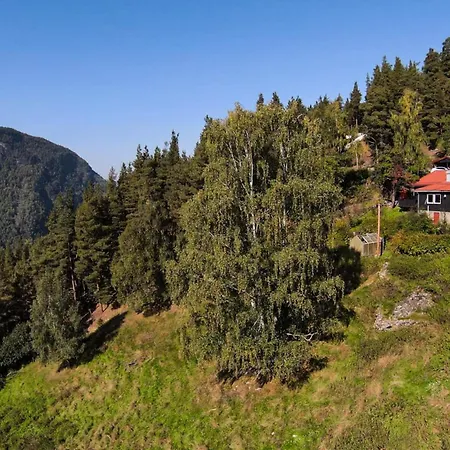 Feriehus Fourgotten *